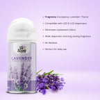 Dr Scent - Lavender